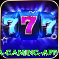 6299bet Mega Gaming App