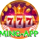 73r Premium Gaming App