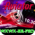 wxwx BR Pro